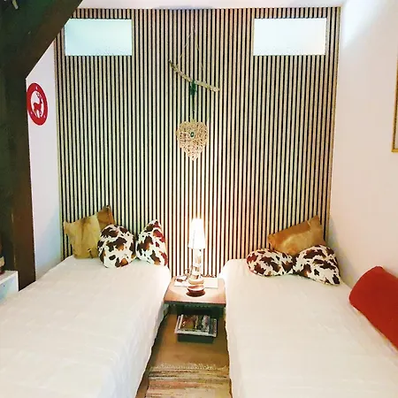 Apartment Begonie2