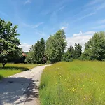 Begonie2 Siegsdorf